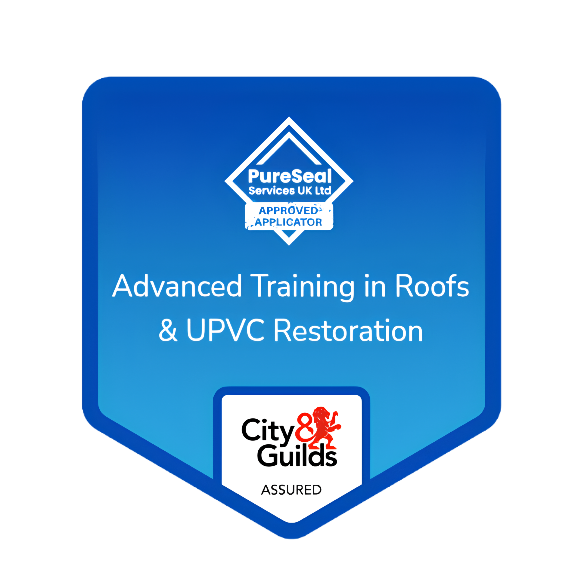 City & Guilds Assured — Advanced Training in Roofs & UPVC Restoration